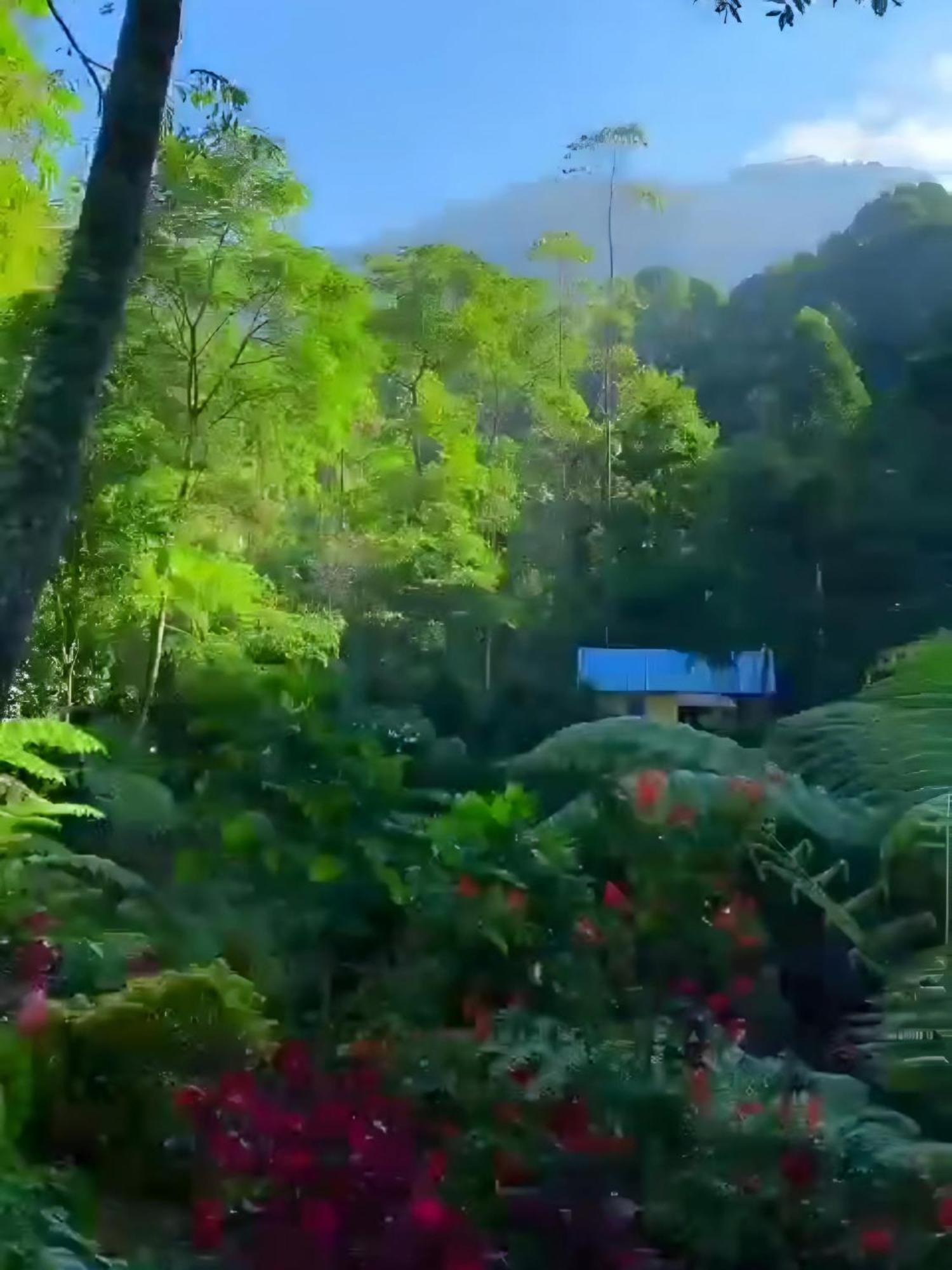 Hotel Penginapan Nuansa Riung Gunung Pangalengan Exteriér fotografie